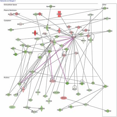 A Moderate Blast Exposure Results in Dysregulated Gene Network Activity Related to Cell Death, Survival, Structure, and Metabolism